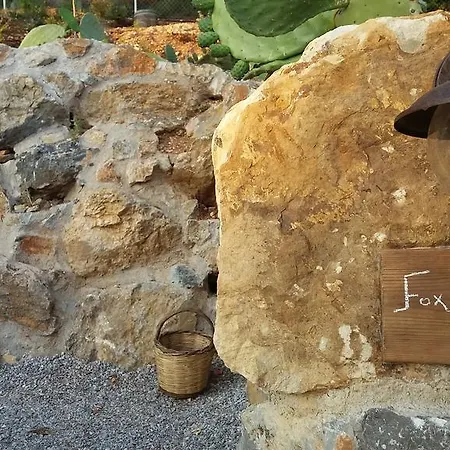 Eviafoxhouse